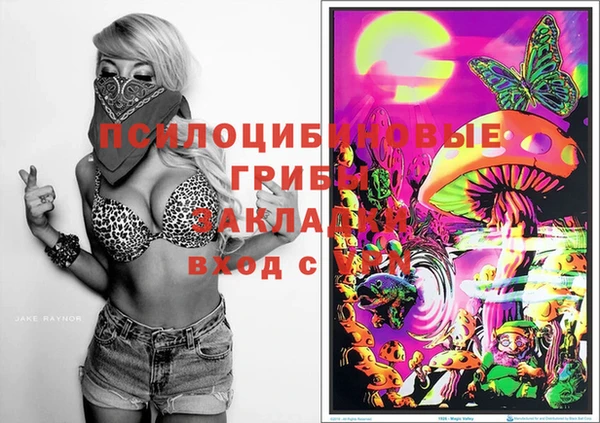 прущий лед Гусев