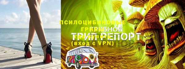 прущий лед Гусев