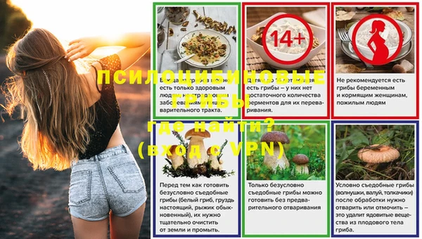 прущий лед Гусев