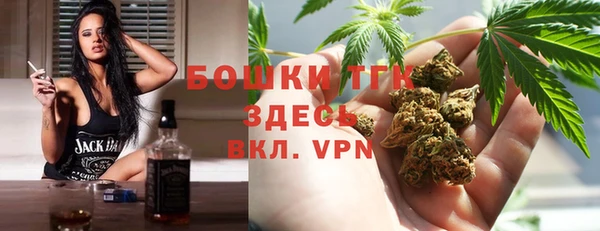 прущий лед Гусев