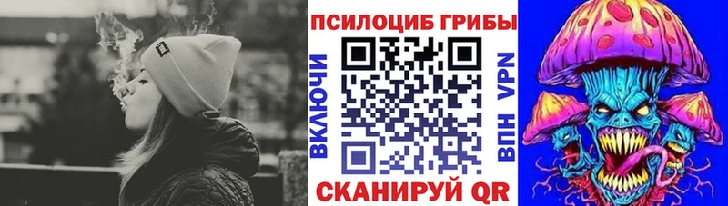 mega tor  Альметьевск  Псилоцибиновые грибы GOLDEN TEACHER 